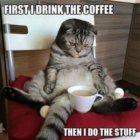 47 Funny Coffee Memes That Will Have You Laughing | Funny good morning ...