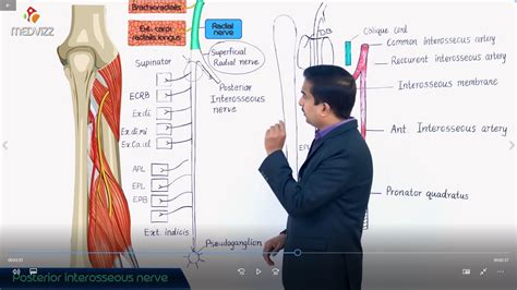 Posterior Interosseous Nerve Palsy