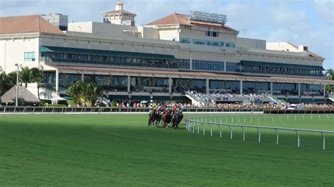 Gulfstream Park stakes selections for Dec. 31 | The TwinSpires Edge