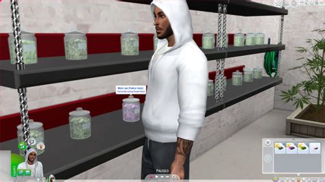 All You Should Know About Sims 4 Drug Mod - Gazettely