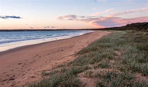 Jervis Bay National Park | NSW National Parks