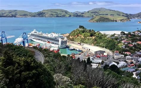 Dunedin · New Zealand · Port Schedule | CruiseDig