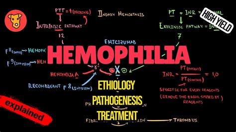 HEMOPHILIA Pathogenesis Mechanism of clinical symptoms Treatment - YouTube