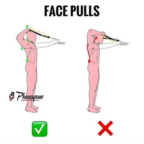 How to do a Face Pull correctly! Form is everything. Face pulls are a great exercise for ...