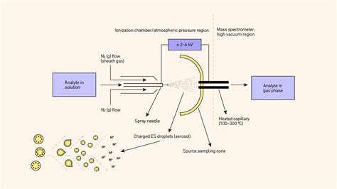 Mass Spectrometry Ionization | Technology Networks