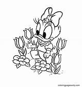 Beautiful Daisy Duck Coloring Pages  Free Printable sketch template