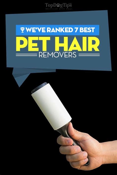 Top 7 Best Dog Hair Remover Tools and Pet Hair Rollers