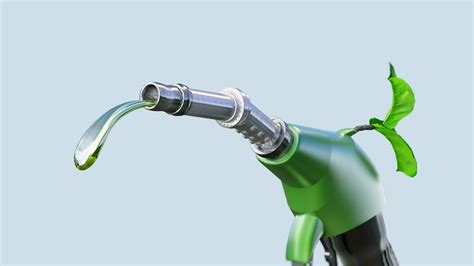 World Biofuel Day 2021: The Social, Economic, and Environmental ...