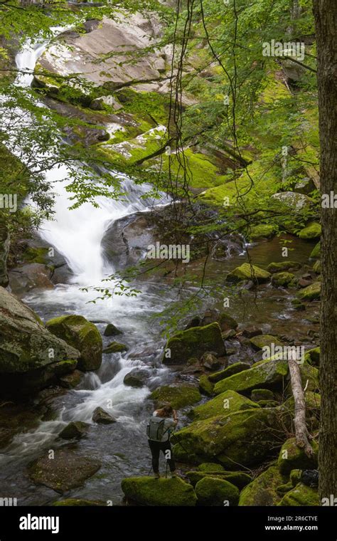 waterfall deep in the woods being photographed Stock Photo - Alamy