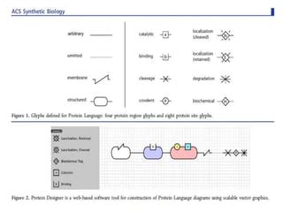 protein design, principles and examples.pptx