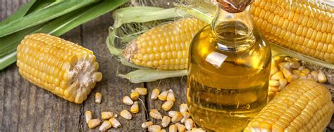 Corn Oil - Cargill Latin America | Cargill