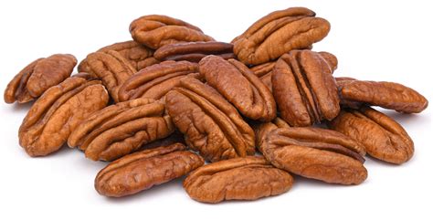 Can Cats Eat Pecans? - PetSchoolClassroom