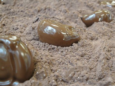 Belgian Chocolate Truffle recipe – by Chef Author Eddy Van Damme