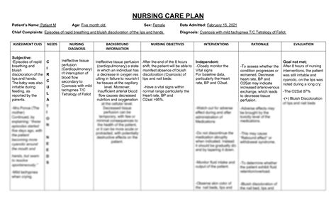 SOLUTION: Nursing care plan ineffective tissue perfusion cardiopulmonary ncp - Studypool