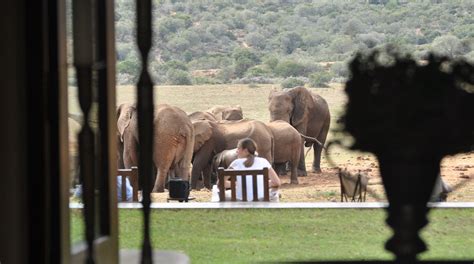 Stories from Africa - Gorah Elephant Camp in South Africa's Eastern ...