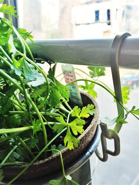 DIY 20 Ideas of Window Herb Garden for Your Kitchen