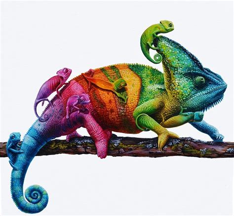 Rainbow Chameleons, green, rainbow, jacub gagnon, chameleons, pink, red, art, HD wallpaper | Peakpx