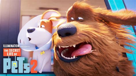 The Secret Life of Pets 2 | Max and Duke Go on a Road Trip! Acordes ...