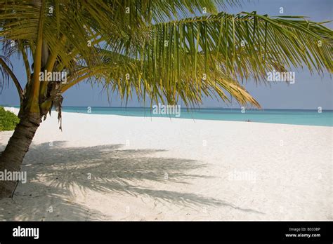 At the dream beach Stock Photo - Alamy