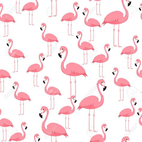 Pink Flamingo Wallpaper