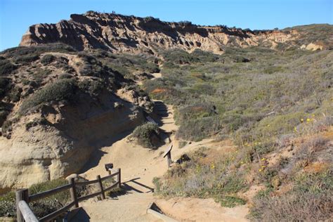 Torrey Pines State Natural Reserve, San Diego, CA - California Beaches