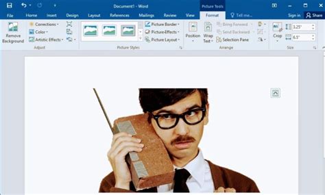 How to remove an image background using Microsoft Word - Dignited