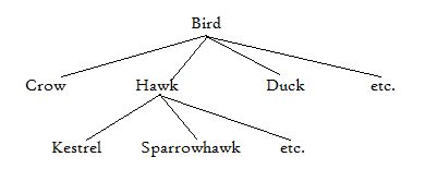 Hyponymy :: Semantics - Lexical Relations