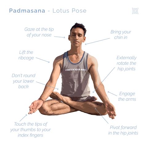 How to do Lotus Pose for Beginners (Padmasana) – OmStars