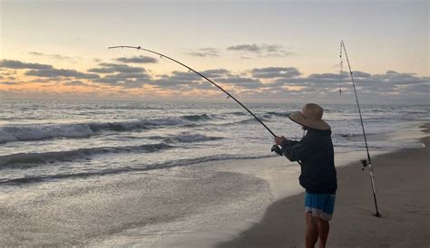 Choosing The Best Rod For Surf Fishing: Specs and Length?