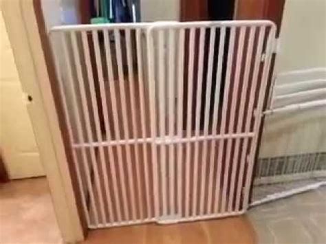 Extra Tall Cat Gate by Rover Company - YouTube