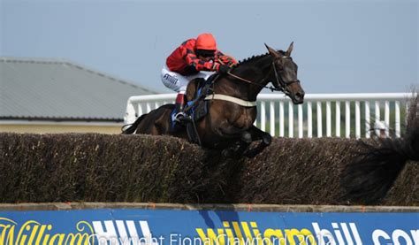 2-4-1 tickets at Newton Abbot Racecourse | The Exeter Daily