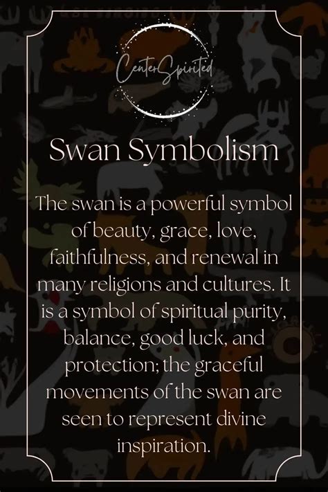 Swan Symbolism - Meaning of Power, Totem & Spirit Animal