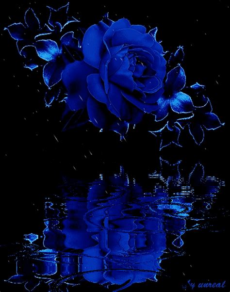 Cool Blue Rose Animated Gif Ideas