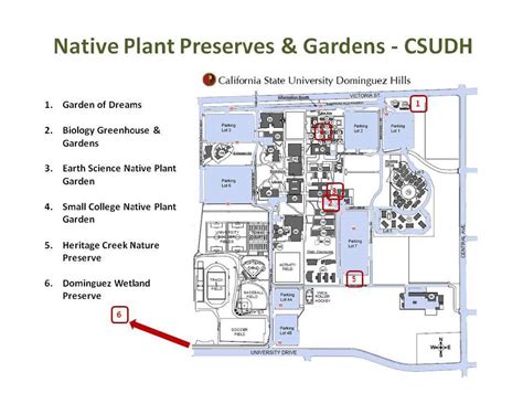 Native Plants at CSU Dominguez Hills: Map - Native Plants at CSUDH