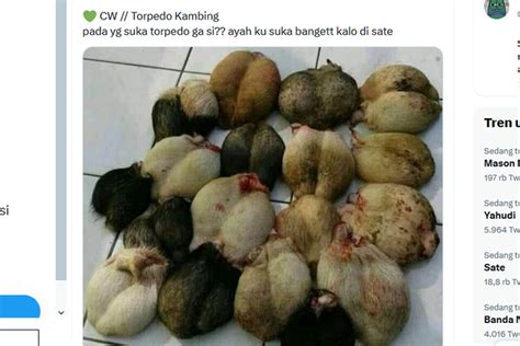 Ramai soal Mengolah Torpedo Kambing Jadi Sate, Adakah Manfaatnya bagi Kesehatan?