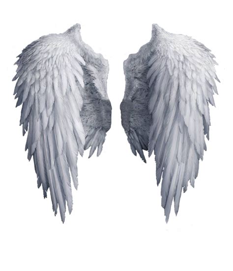 Pin on Angel Wings