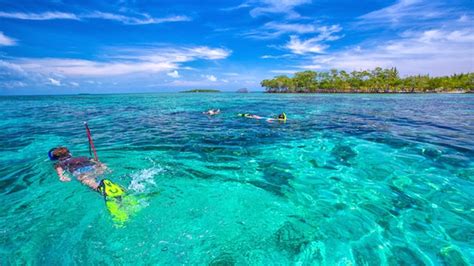 The Best Snorkeling Spots in Belize | Island Expeditions