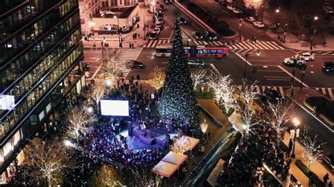 Crowd Gathers for DC Christmas Tree Lighting [Video]