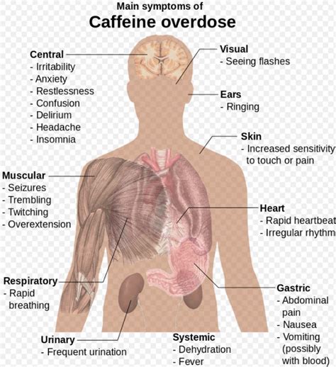 Suicide With Caffeine Overdose! - MEDizzy Journal