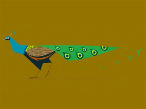 Pfau 70 White Tail Peacock GIF Animated Picture