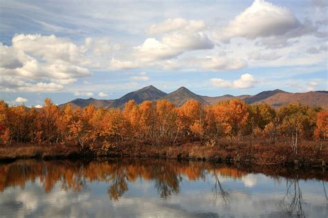 Autumn,forest,lake,reflection,autumn forest - free image from needpix.com