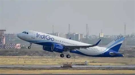 IndiGo 6E Double Seat Service: Stress-free flying experience! Know eligibility, booking ...