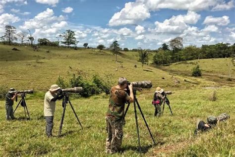 Birdwatching in Costa Rica - Costa Rica Birding Hotspots