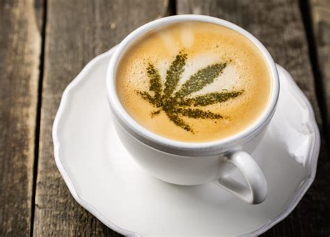 CAFE joins cannabis retail standards group - Mugglehead Magazine