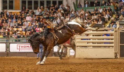 Stockyards Championship Rodeo | Fort Worth Stockyards