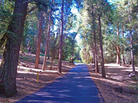 Palomar Mountain State Park - Greg in San Diego