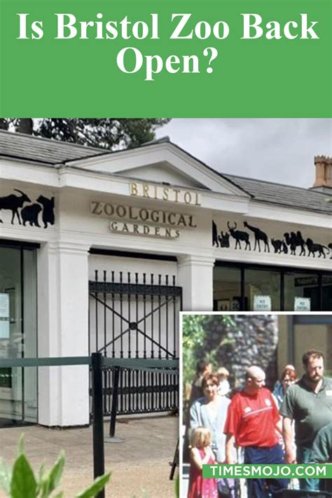 Is Bristol Zoo back open? - TimesMojo