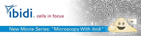 Phase Contrast Microscopy: Finally, a Simple Explanation!