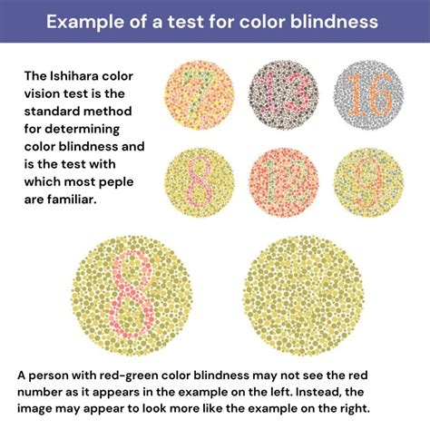 How Do Color Blind Tests Work? | Glasses.com®