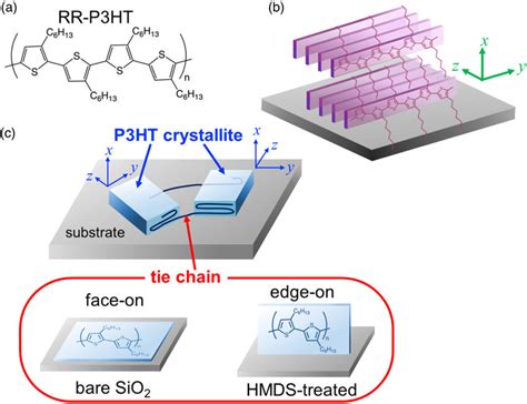 (Color online) (a) Molecular structure of P3HT. (b) Edge-on orientation ...